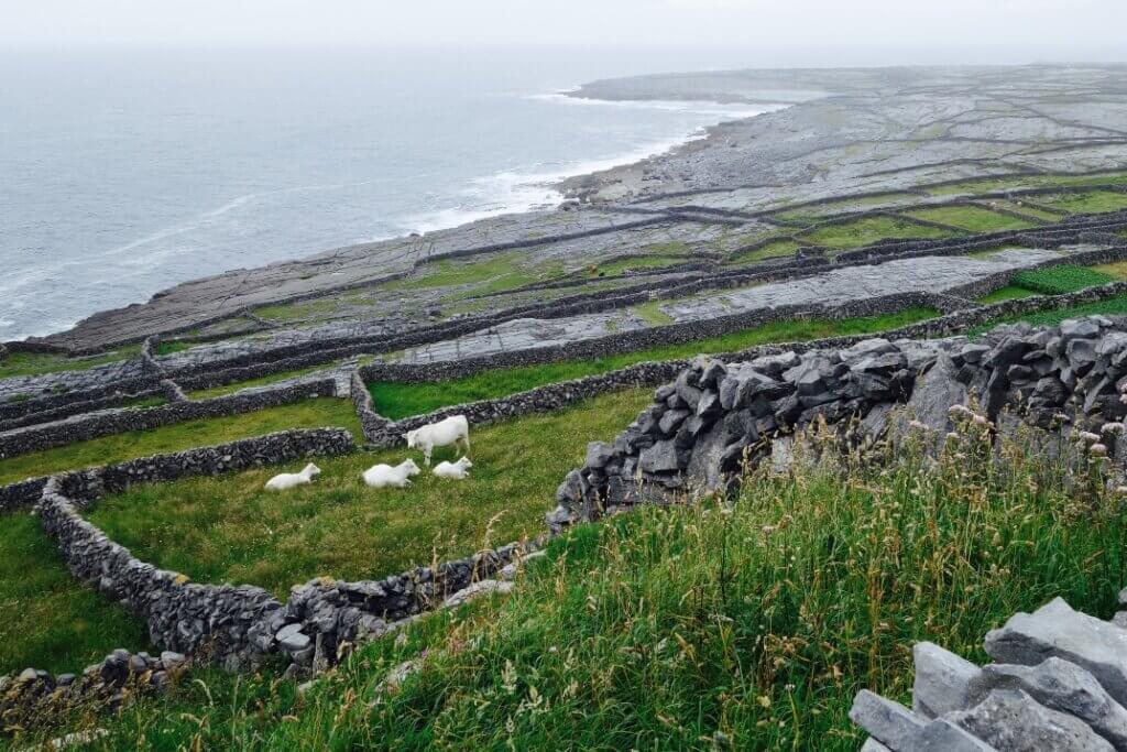 Inishmaan 2