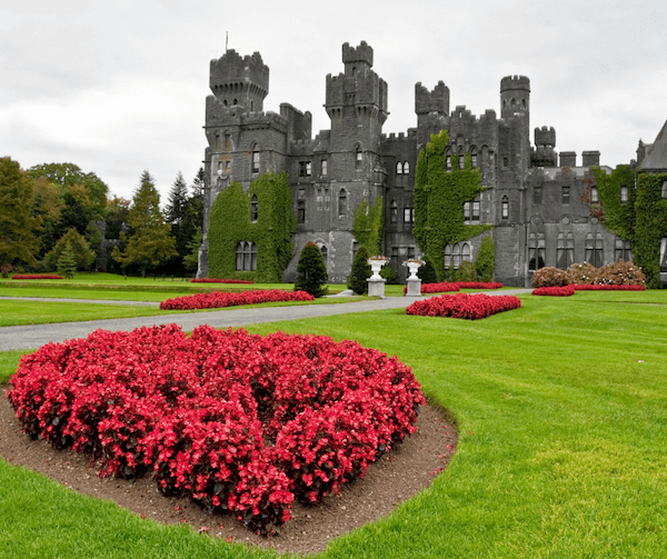 flowers in front of a castle unique things to do in Ireland