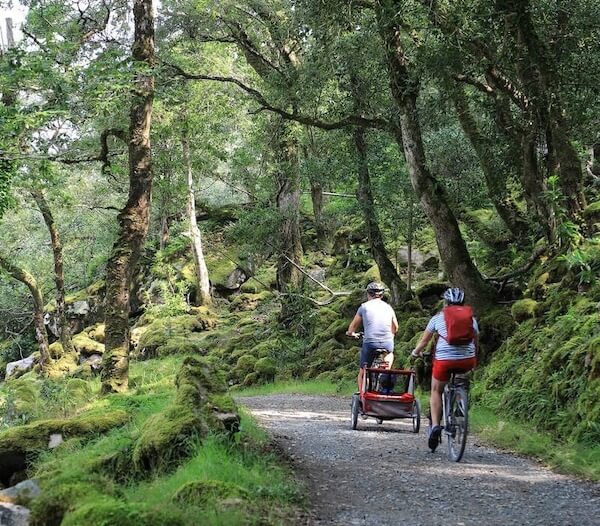 two people cycling in the woods visiting Ireland's national parks