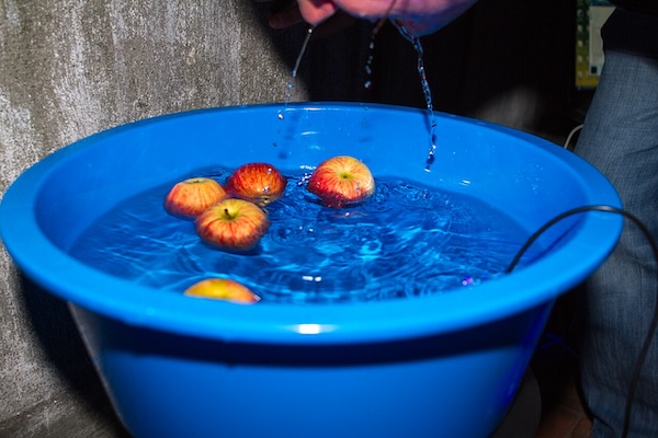 apples in a basin of water Halloween in Ireland